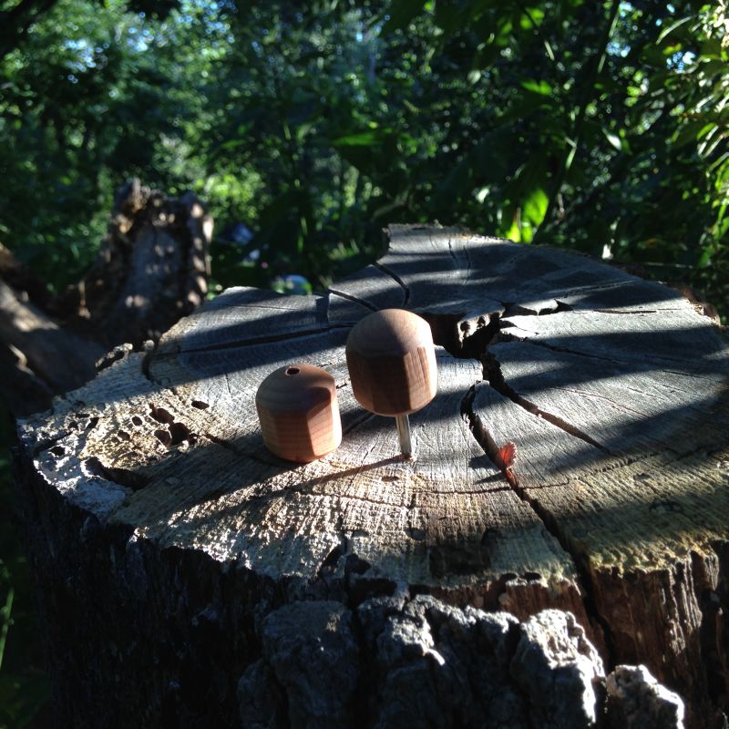 Bird Cage Awl In Stump