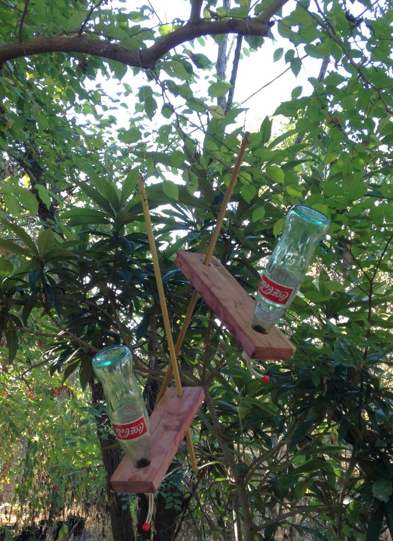 Two Hummingbird Feeders